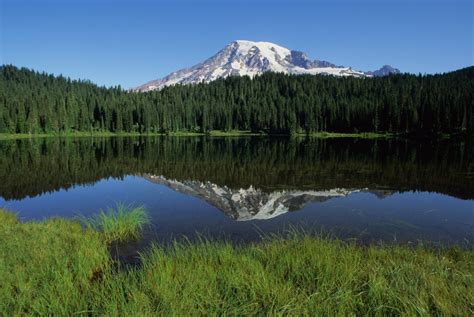 Mount Rainier National Park Plans to Start Requiring Reservations - Men ...