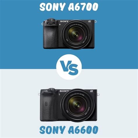 Sony A6700 Vs Sony A6600 Lequel Choisir Et Pourquoi