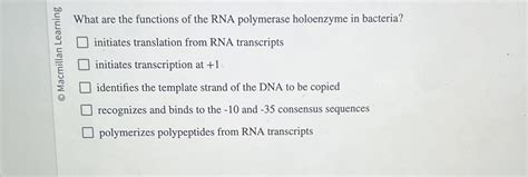 Solved What are the functions of the RNA polymerase | Chegg.com 