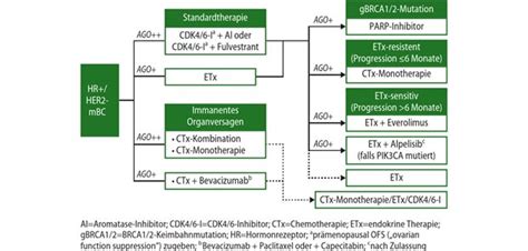 Talazoparib Mehr Lebensqualit T Durch Zielgerichtete Therapie Beim