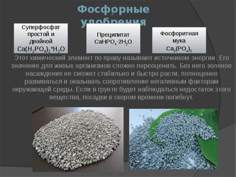 Фосфоритная мука: состав и свойства, особенности применения как удобрения
