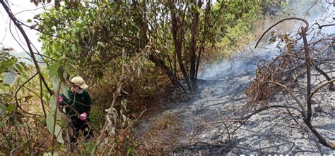 Angin Kencang Kebakaran Hutan Gunung Slamet Belum Padam