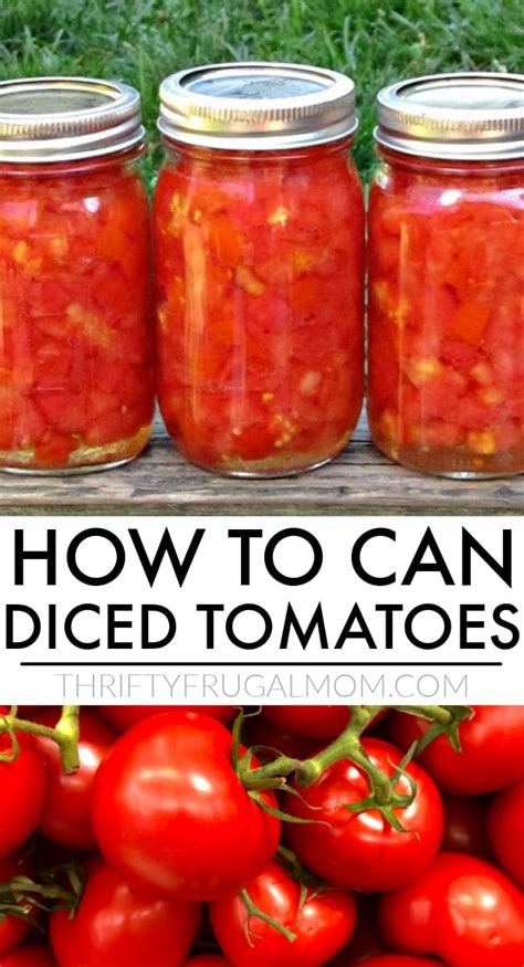 How To Can Diced Tomatoes Easy Recipe Thrifty Frugal Mom