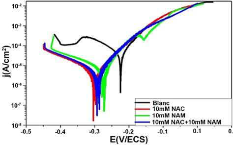 Polarization Curves Of Copper Immersed In Nacl In The Absence And