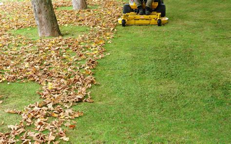 Fall Clean Up, Yards, Leaves, Leaf Rememoval