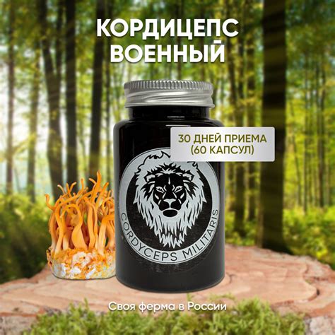 Грибы сушёные. Кордицепс (Cordyceps militaris), 60 капсул - купить с ...