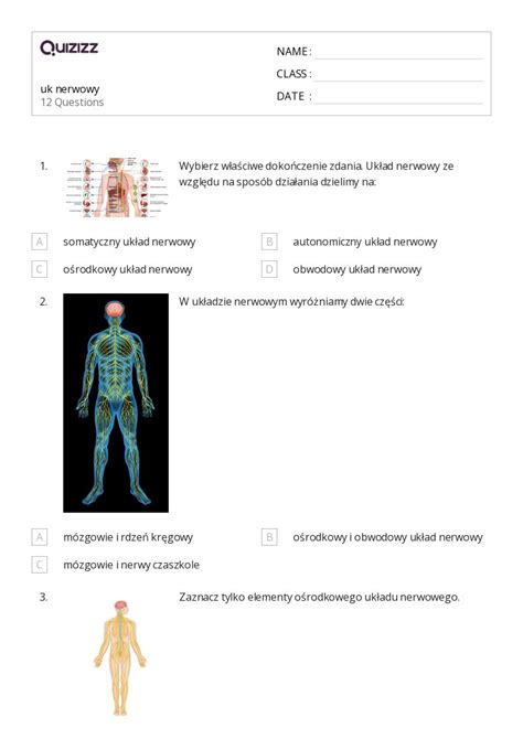 Ponad 50 Burza mózgów arkuszy roboczych dla Przedszkole w Quizizz