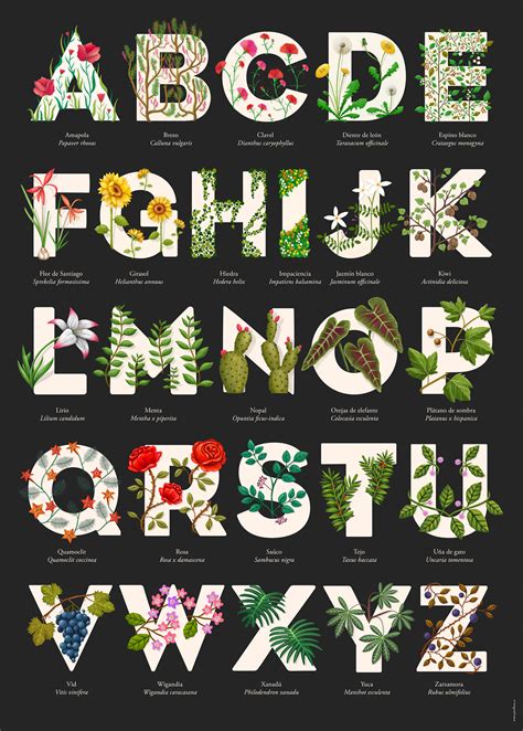 PLANT ALPHABET ABECEDARIO DE PLANTAS On Behance