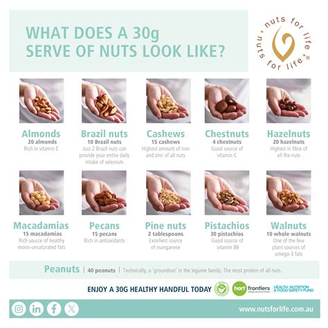 Health Nuts Are Arguing Over The Best Matcha At Sprouts - RYZE Superfoods