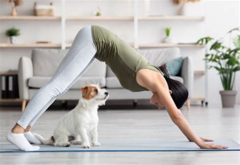 top  yoga poses  beginners  benefits yoga holmes