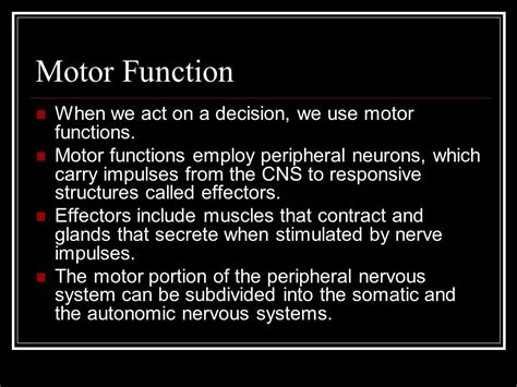 The Nervous System Ppt Video Online Download