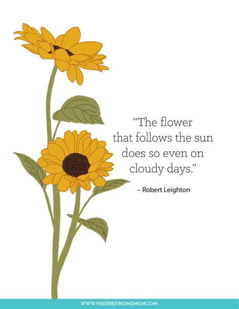 Quotes About Sunflowers