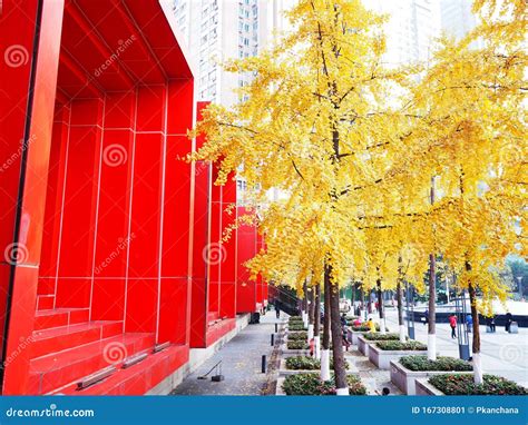 Chongqing Guotai Arts Center The Red Building Chinese Art Museum With