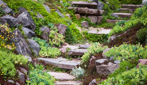 How To Build A Rockery - The English Garden