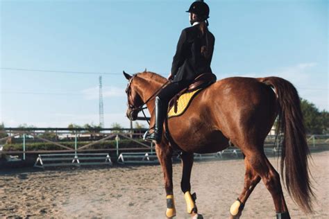 R Vise Tes Galops En T Amusant Petit Galop