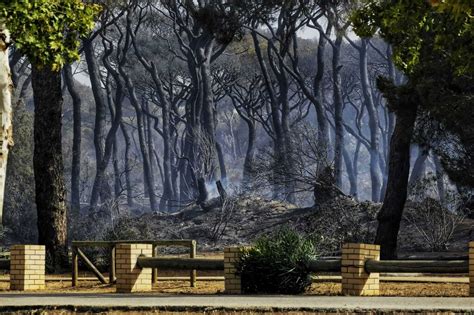 Puerto Real Tras El Incendio De Las Canteras En Im Genes