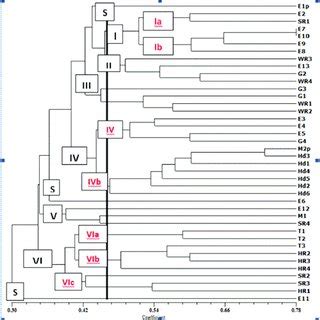 Upgma Dendrogram Based On Jaccard S Similarity Coefficient Showing