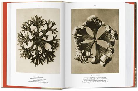 Karl Blossfeldt The Complete Published Workhans Christian Adam97838