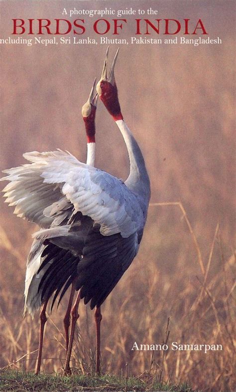 A Photographic Guide To The Birds Of India Including Nepal Sri Lanka