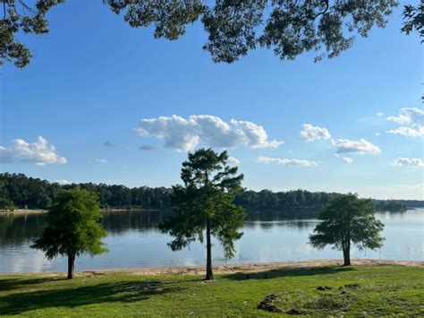 Lakeside Cabin On Lake O The Pines Lake O The Pines Vacation Rental