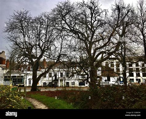 A Woodland Walk In Tunbridge Wells Stock Photo Alamy