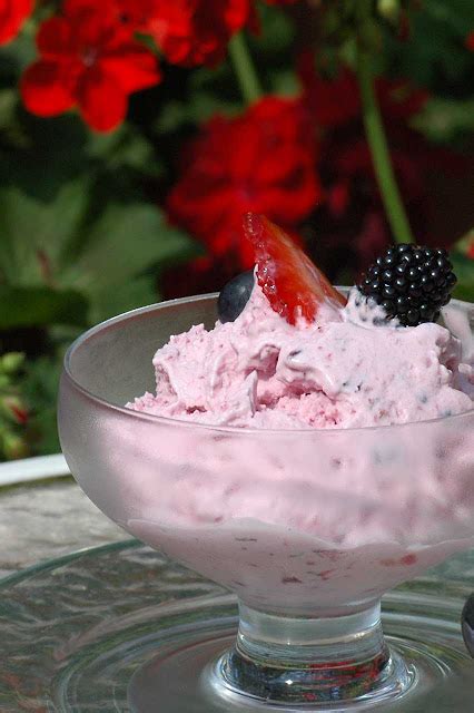 Savoring Time In The Kitchen Eggless Summer Berry Ice Cream