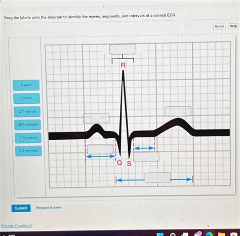 Solved Drag The Labels Onto The Diagram To Identify The Chegg