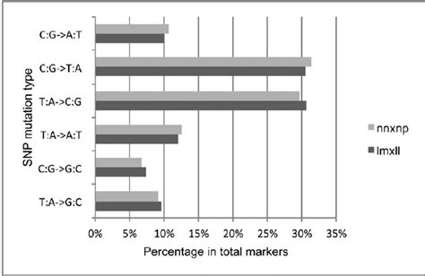 Percentage Of Each Snp Mutation Type In Total Markers Download