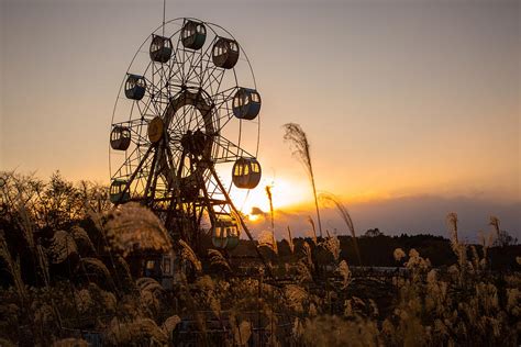 Ferris Wheel Sunset Photograph by Tim Townley | Fine Art America