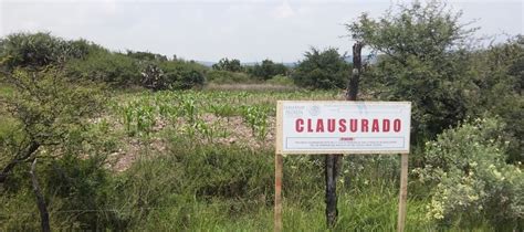 Profepa La Ley Al Servicio De La Naturaleza Clausura Profepa