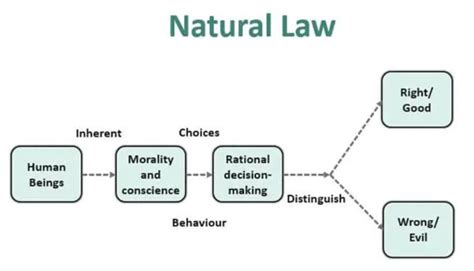 What is Natural Law? (Principles, Definition, Applications in Business)