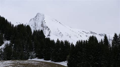 Mountain Snow Trees Landscape Slope Winter Blue Sky 4K HD Nature ...