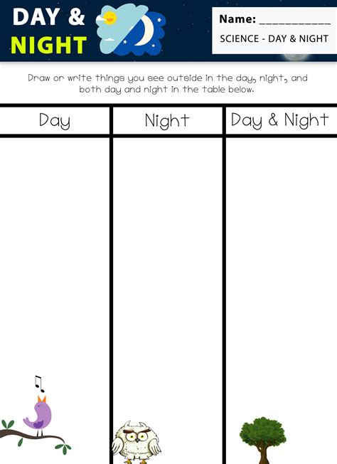 Day and Night Comparisons - Educate Outside