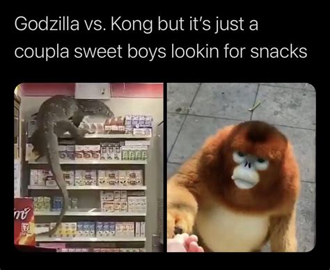 Godzilla vs Kong : memes