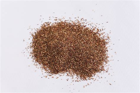 Green Rooibos