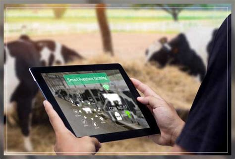 Livestock Monitoring In Agriculture Using Iot Al Ardh Alkhadra