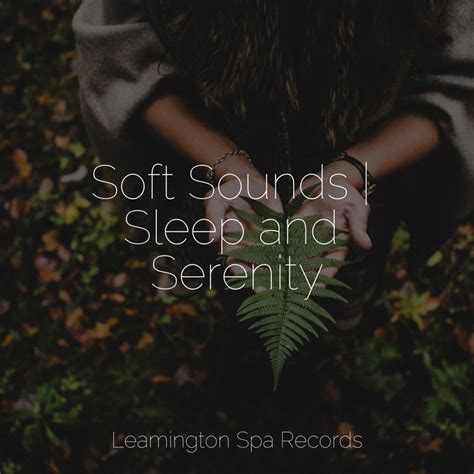 Soft Sounds Sleep And Serenity Album By Rain Sounds XLE Library