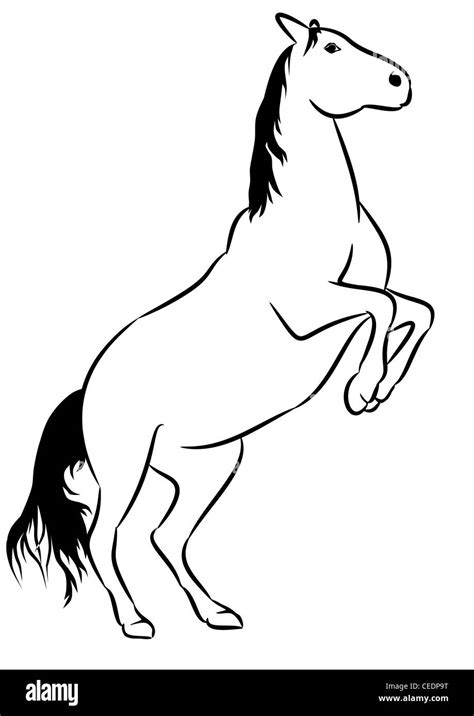 Wild horse, line drawing Stock Photo - Alamy