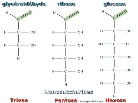 Monosaccharide Definition