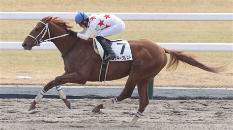 ＜京都4r＞直線で抜け出し勝利するミッキークレスト（撮影・亀井 直樹） ― スポニチ Sponichi Annex ギャンブル