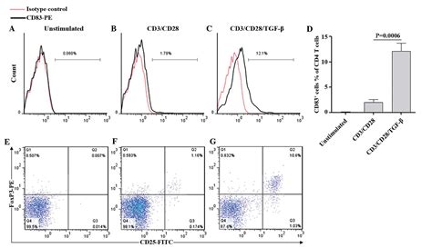 Continuous Expression Of Cd83 On Activated Human Cd4 T Cells Is Correlated With Their