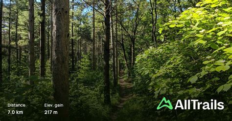 Oak Ridges Moraine Trail Northumberland Forest West Section Ontario