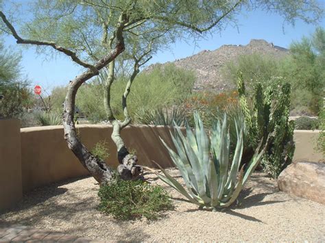 What is Desert Landscaping in a Scottsdale AZ Home Listing?