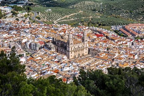 Premium Photo | Aerial view of cathedral of jaen, spain