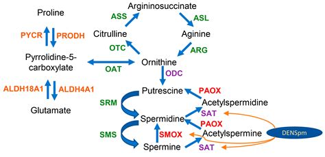 Biomolecules Free Full Text Transcriptome Analysis Of Redox Systems