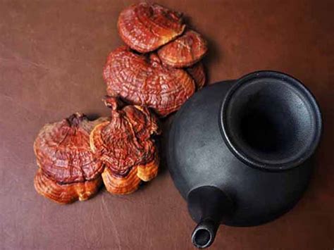 Reishi Mushroom Tea Recipe | Organic Facts