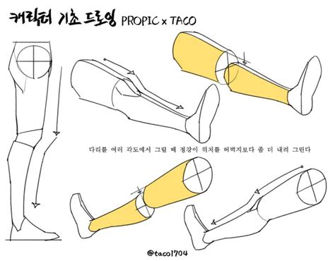 타코작가 On Twitter 인체 드로잉 강좌 해부학