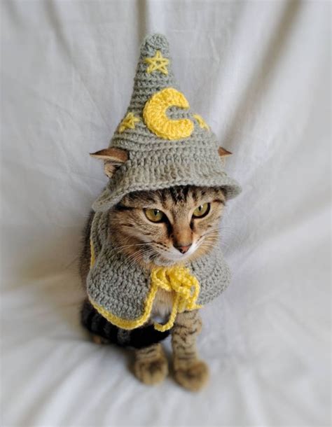 Wizard Costume for Cat, Wizard Hat for Cat, Wizard Pet Costume - Etsy ...