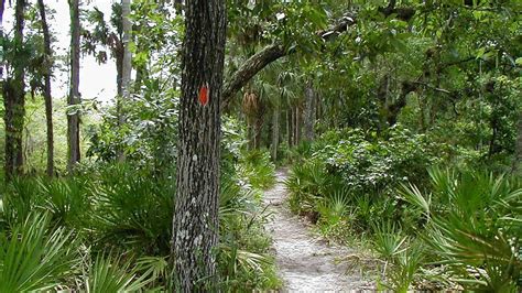 Discover the Florida Trail - GreenBrevard