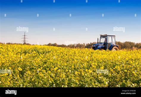 Tractor In Mid Of The Canola Field Stock Photo Alamy